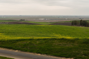 Fototapeta na wymiar San Joaquin Valley in early spring