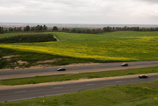 San Joaquin Valley in early spring