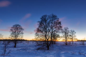 winter landscape at dusk in the High Vens