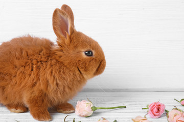 Cute funny rabbit and beautiful flowers on wooden surface against light background