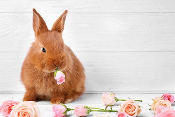 Cute funny rabbit and beautiful flowers on wooden surface against light background