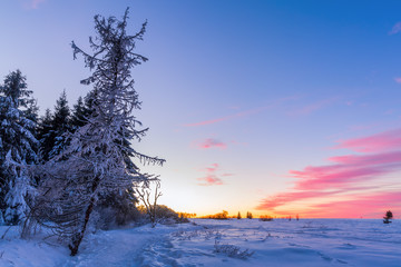 winter landscape in the High Vens, Belgium