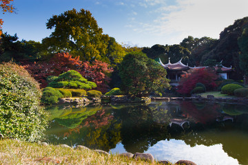 Fototapeta na wymiar Japanese dojo in autumn