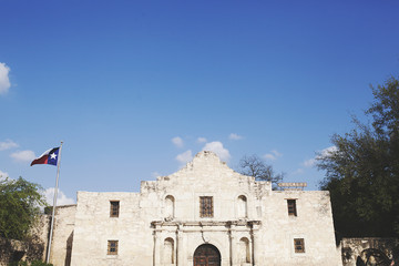 Remember the Alamo