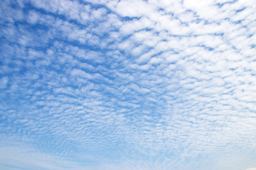 Fototapeta premium blue sky with clouds can use background