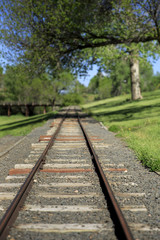Fototapeta na wymiar Train Track at the park