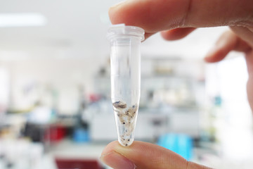 scientist hand holding laboratory test tube with soft focus