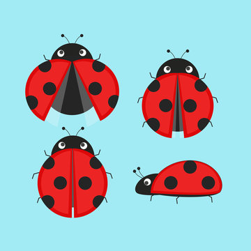 Cute Ladybugs Icon Set .Flat Vector Illustration.