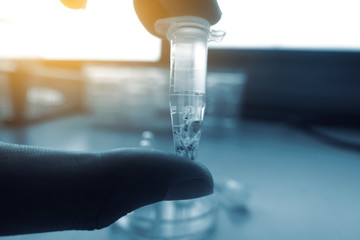 scientist hand holding laboratory test tube with soft focus