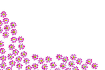 daisies summer flower isolated on white background.