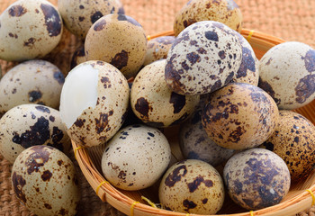 Obraz premium fresh quail eggs
