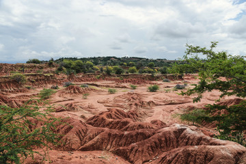 Naklejka premium Desert
