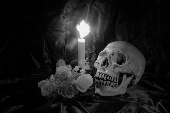 Skull with Bunch of flowers and candle light on wooden table with black background in night time in black and white/ Still life style