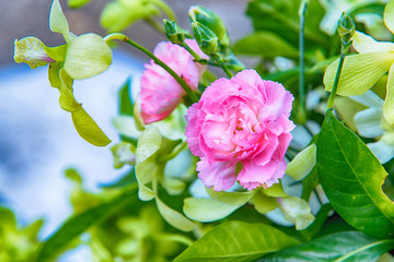 colorful wedding flower bouquet