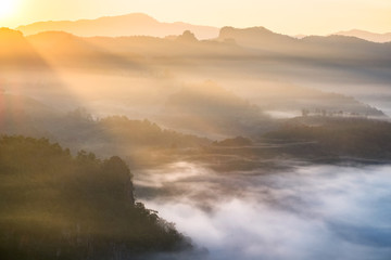 Obraz premium Scenic landscape on foggy hill at sunrise