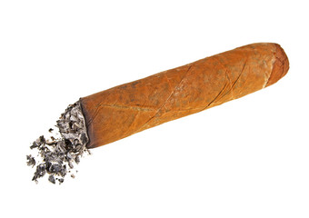 Brown cigar burned on white background