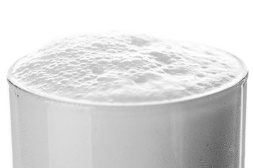 beer foam