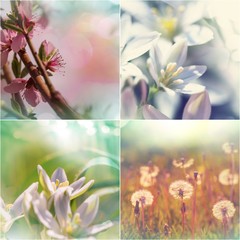 Spring collage