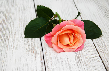 Pink rose on a wooden background
