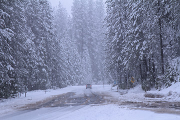 Road with car in winter forest