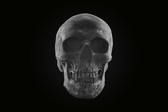 Still life skull dark tone concept Halloween day