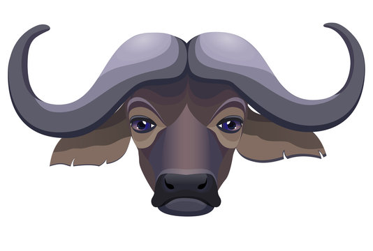 The Head Of A African Buffalo. Logo, Emblem, Mascot. Vector Illustration.