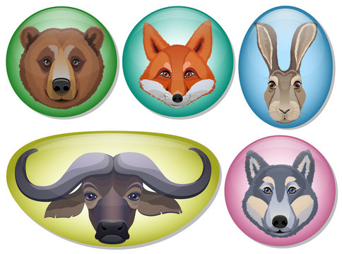 Glossy icons with animals. Bear, fox, wolf, rabbit, buffalo.Vector illustration.
