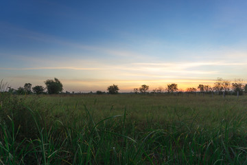 Beautiful Sunrise on meadow.