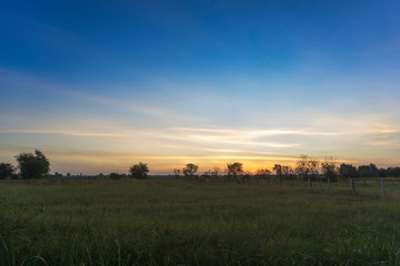 Beautiful Sunrise on meadow.