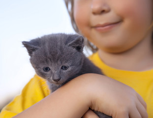 kitten on arm of the boy outdoors, child huge his love pet