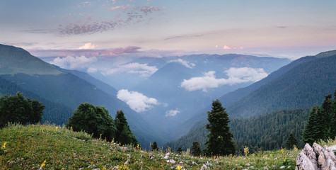 panorama landscape with alpine meadow and forest in the mountains, Abkhazia Western Caucasus.