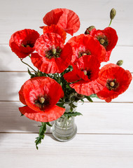 Bouquet of red poppies in glass vase on white table