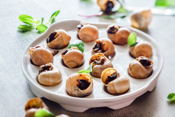 snails as gourmet food