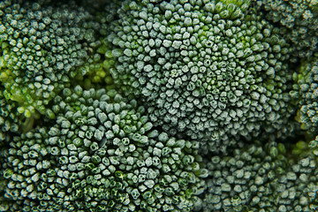 Fresh frozen green broccoli with hoarfrost closeup as background. Healthy vitamin food.