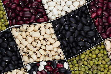 Kidney beans background, different kind haricot - red, black, white, mung  in square cells closeup top view. Healthy protein food.