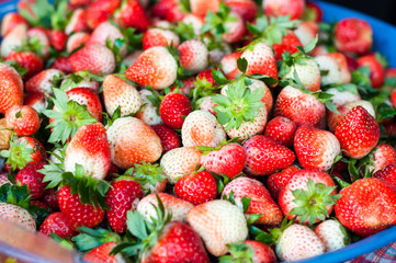 the fresh strawberry in big blue dish. for healthy