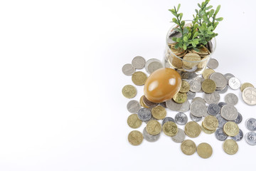 coins,golden egg and calculator for business conceptual.