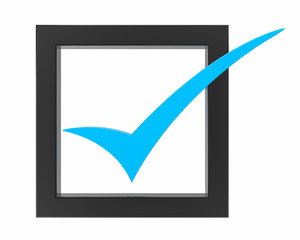 blue Correct mark symbol