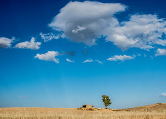 La natura e la sua semplicità