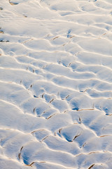 Snowdrifts on the river bank