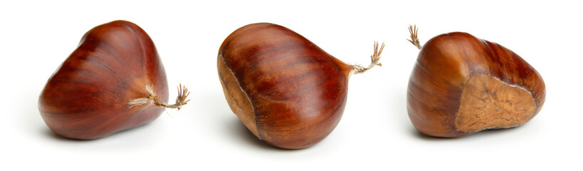 Chestnut on white