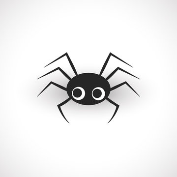 Cute spider isolated on white background.