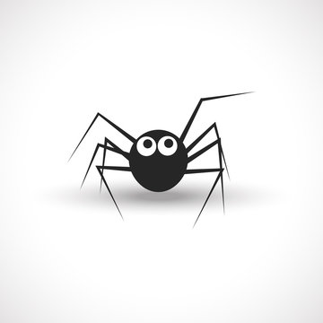 Cute spider isolated on white background.