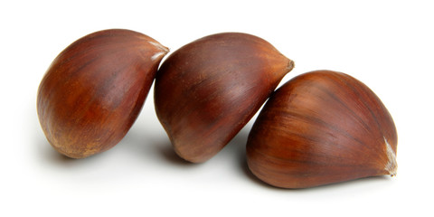 Chestnut on white