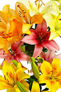 Fototapeta Lilies close-up
