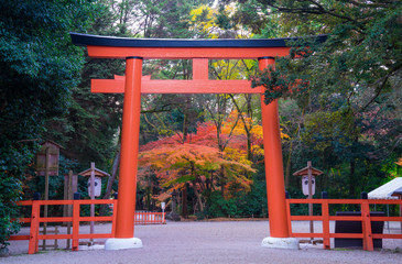 京都　下鴨神社の鳥居と紅葉