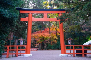 Tuinposter 京都　下鴨神社の鳥居と紅葉 © Route16