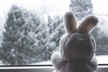 Osterhase schaut aus Fenster - Konzept Schnee an Ostern.