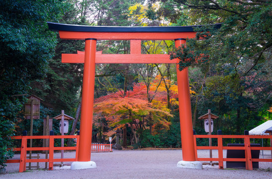 28 584 Best 鳥居 Images Stock Photos Vectors Adobe Stock