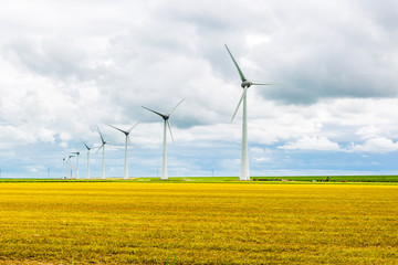 Wind turbines in yellow field